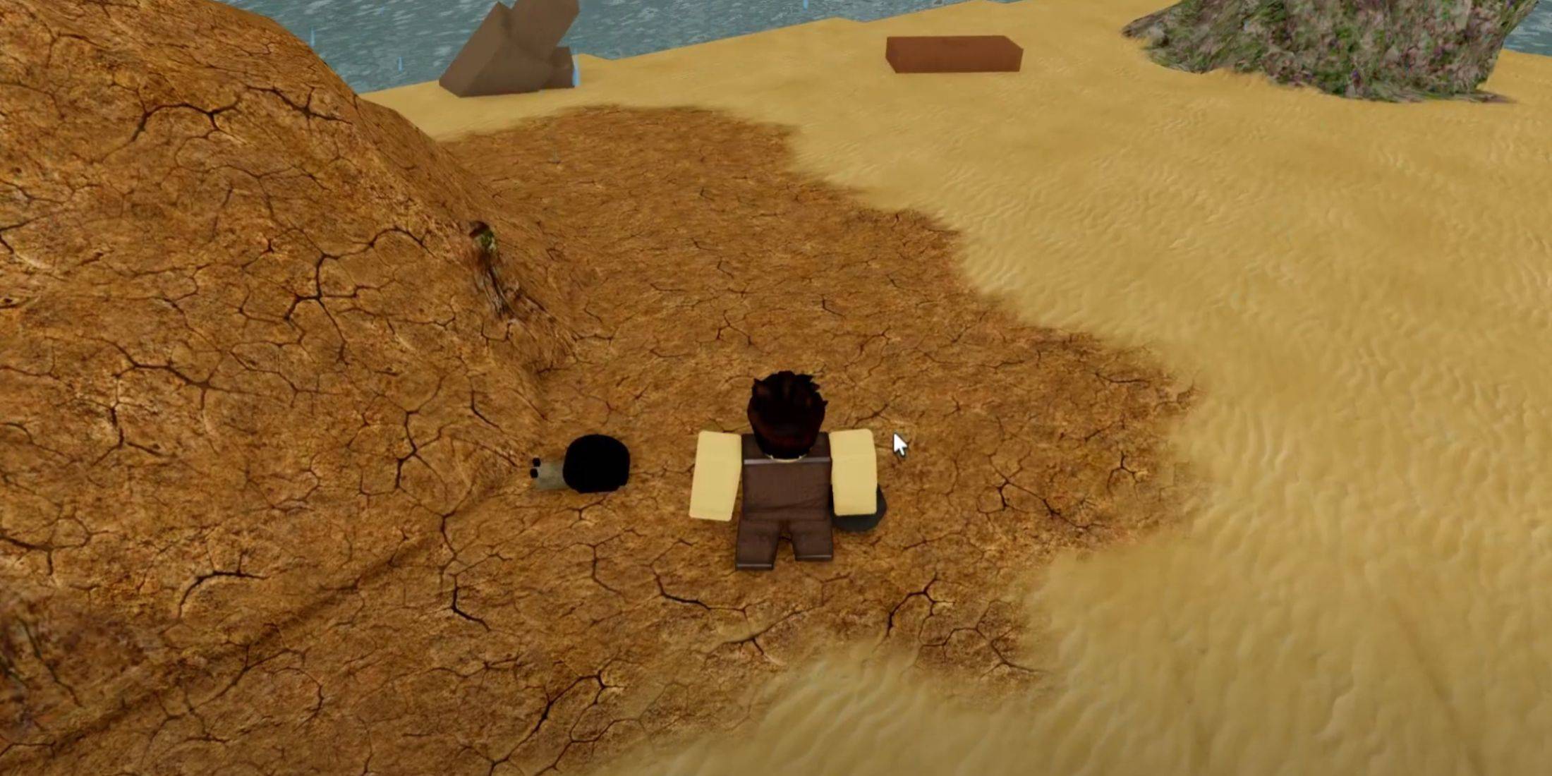Finding New Codes Image