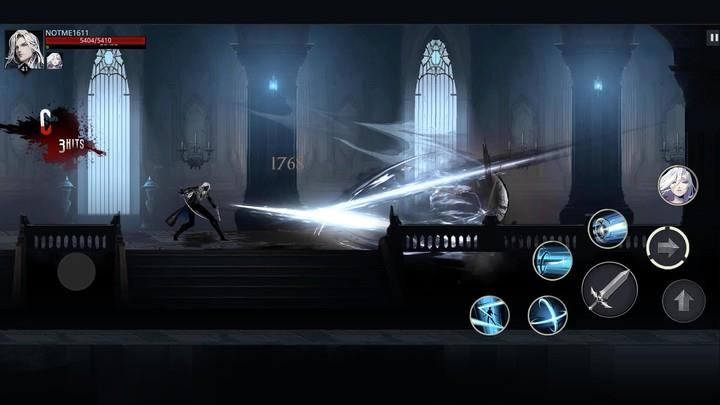 Shadow Slayer: The Dark Knight Zrzut ekranu 1