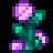 Fairy Rose Honey