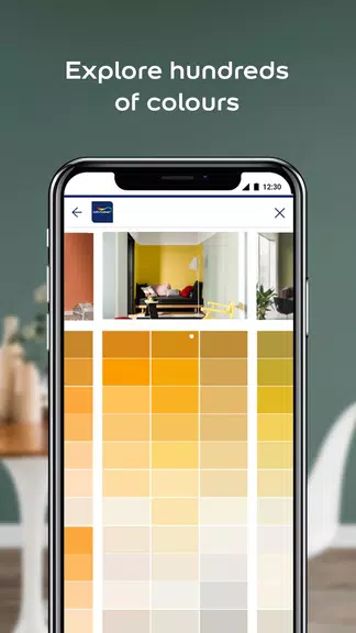 Dulux Visualizer ZA スクリーンショット 1