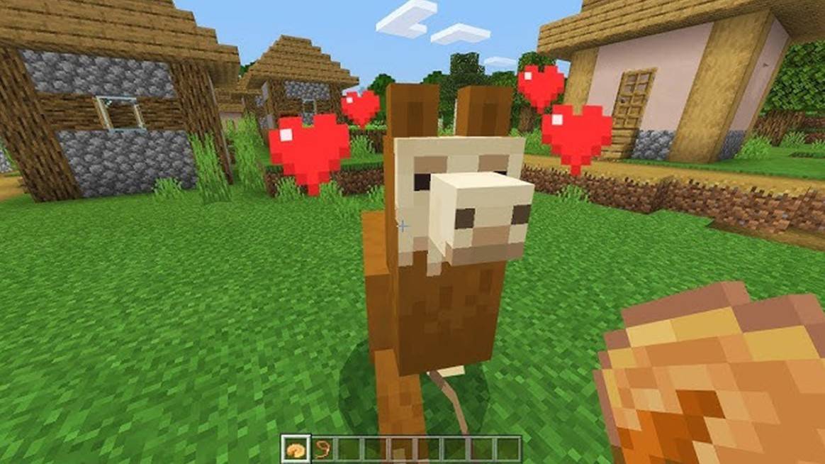 Minecraft中的美洲驼
