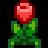 Tulip Honey