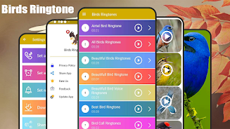 Birds Sounds & Birds Ringtones应用截图第1张