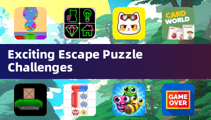 Exciting Escape Puzzle Challenges